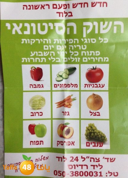 setona2y 830 (26).JPG